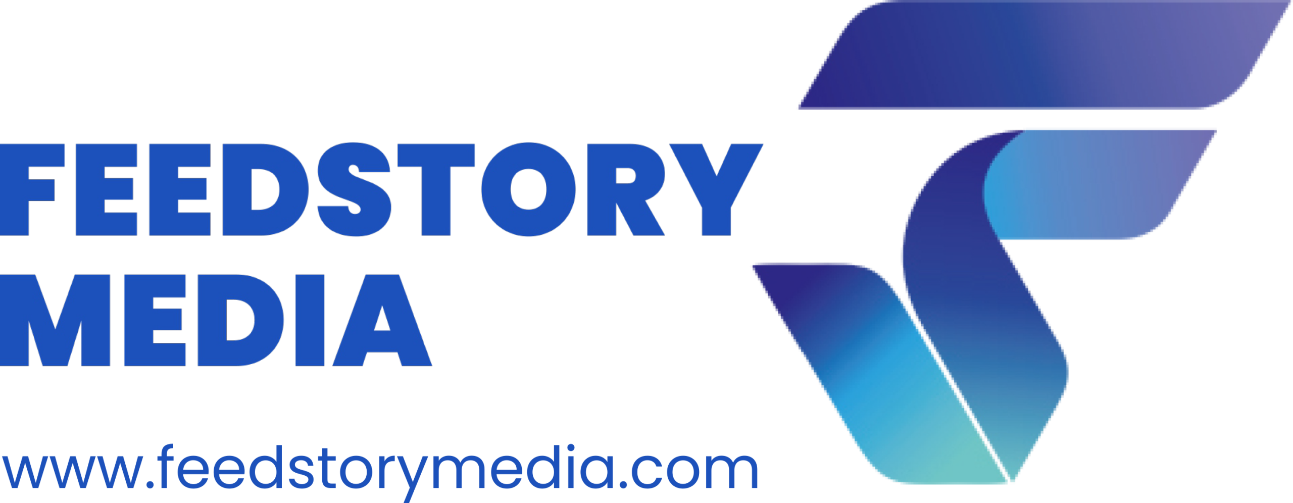 Feed Story Media LLP logo